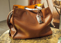 Coach-Pre-Fall-2016-Bags-10.jpg