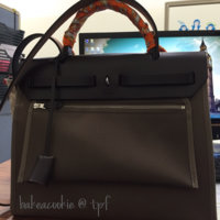 ImageUploadedByPurseForum1449705331.264117.jpg