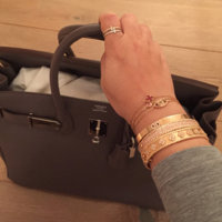 ImageUploadedByPurseForum1449769025.904450.jpg