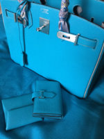 ImageUploadedByPurseForum1449911848.931589.jpg