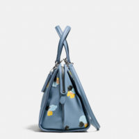 ImageUploadedByPurseForum1450063533.413206.jpg