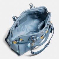 ImageUploadedByPurseForum1450063547.546229.jpg