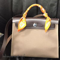 ImageUploadedByPurseForum1450275976.117051.jpg