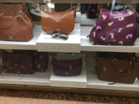 ImageUploadedByPurseForum1450385061.366681.jpg