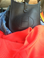 ImageUploadedByPurseForum1450476725.375657.jpg