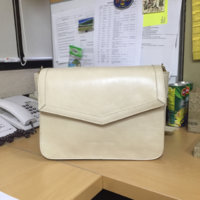 ImageUploadedByPurseForum1450485670.663376.jpg