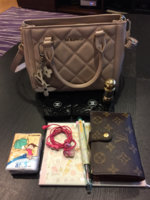 ImageUploadedByPurseForum1450500802.077525.jpg
