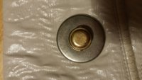 stella button.jpg