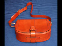 ImageUploadedByPurseForum1450692832.237482.jpg
