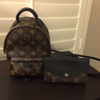ImageUploadedByPurseForum1450736829.709436.jpg