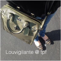 ImageUploadedByPurseForum1451280314.091852.jpg
