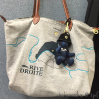 ImageUploadedByPurseForum1451322952.525656.jpg