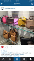 ImageUploadedByPurseForum1451341107.130462.jpg