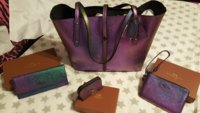 Hologram Nov Dec 2015 Coach Set Pic 1.jpg