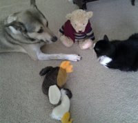 Bear discussion group.jpg
