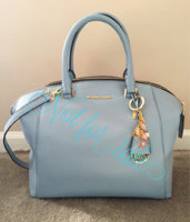 ImageUploadedByPurseForum1451759181.616964.jpg