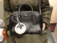 ImageUploadedByPurseForum1451928199.758690.jpg