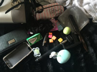 ImageUploadedByPurseForum1451942481.295929.jpg