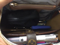 ImageUploadedByPurseForum1452008165.476035.jpg