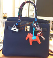 ImageUploadedByPurseForum1452016414.584218.jpg