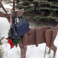 ImageUploadedByPurseForum1452212734.617239.jpg