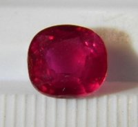 DSCN7095.JPG