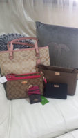 ImageUploadedByPurseForum1452271949.749566.jpg