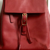 ImageUploadedByPurseForum1452369255.694675.jpg