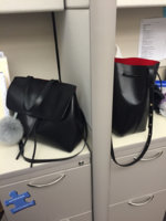 ImageUploadedByPurseForum1452713539.560625.jpg