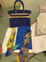 ImageUploadedByPurseForum1452733477.815808.jpg