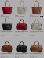 bags1.png
