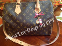 ImageUploadedByPurseForum1452839583.092248.jpg
