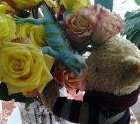 Bear smells roses & lizard.jpg
