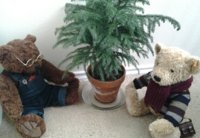 Bear with tree(1).jpg
