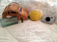 FullSizeRender(155).jpg