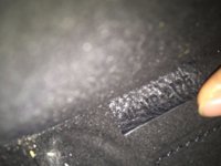 IMG_9392.jpg