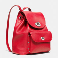 ImageUploadedByPurseForum1453060110.243273.jpg