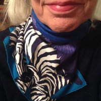 zebra pegasus gavroche asymmetrical knot.JPG