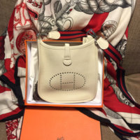 ImageUploadedByPurseForum1453169317.250518.jpg