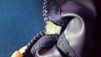 20160120_185725.jpg