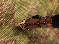IMG_1515.jpeg