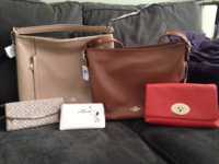 ImageUploadedByPurseForum1453491254.517797.jpg