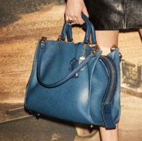ImageUploadedByPurseForum1453566883.937299.jpg