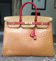 ostric birkin.JPG