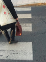 ImageUploadedByPurseForum1453709787.410134.jpg