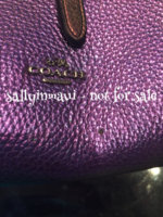 ImageUploadedByPurseForum1453732846.726298.jpg
