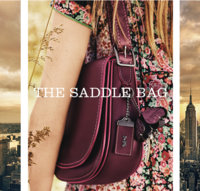 ImageUploadedByPurseForum1453759008.683113.jpg