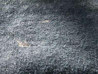 DSCF2478.JPG