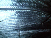 P18.jpg