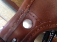 photo 7.JPG